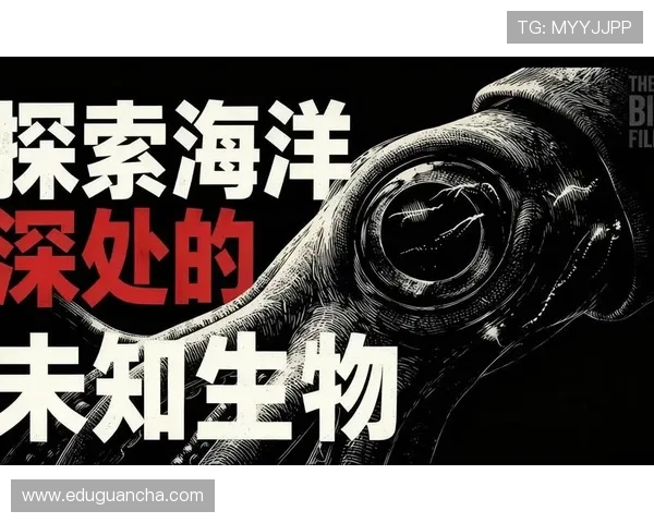 金鲨银鲨:揭秘海洋深处最珍贵的宝藏与奇幻的海底生物世界