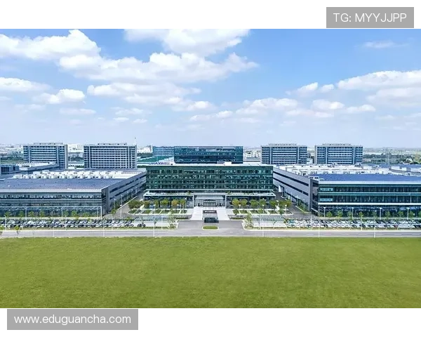 凯发登录首页网址查询的常用方法及最新官方入口地址推荐